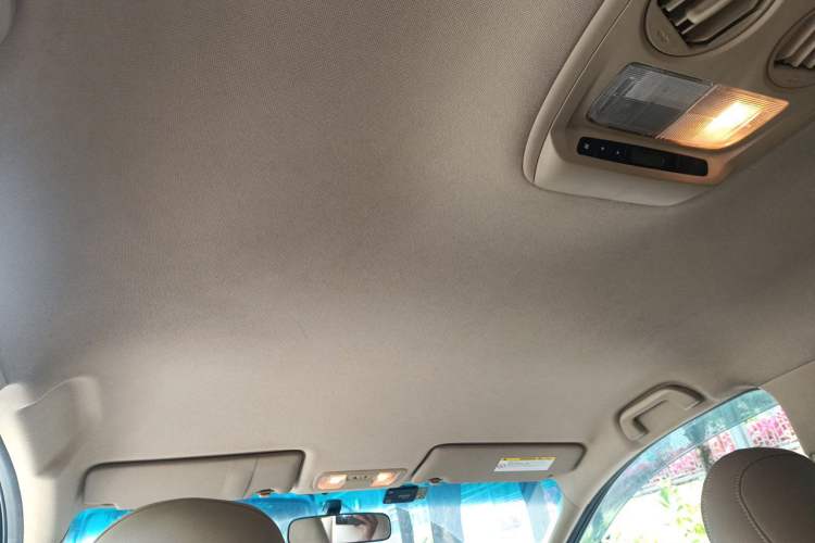 Used Honda Odyssey 2009 2.4L Comfort Edition Headliner