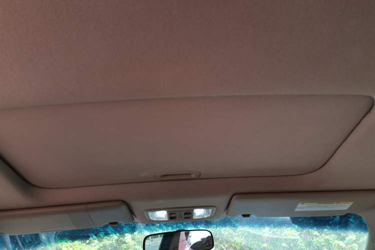 Used Honda Odyssey 2009 2.4L Comfort Edition Headliner