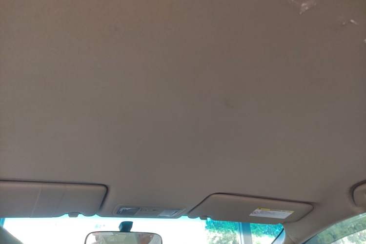 Used Honda Odyssey 2009 2.4L Comfort Edition Headliner