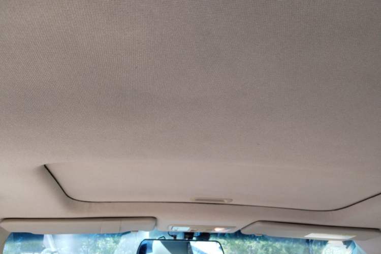 Used Honda Odyssey 2009 2.4L Luxury Edition Headliner