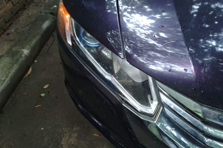 Used Honda Odyssey 2013 2.4L Luxury Edition Right Front Headlight