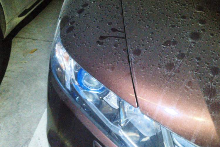 Used Honda Odyssey 2014 2.4L Elite Edition Right Front Headlight