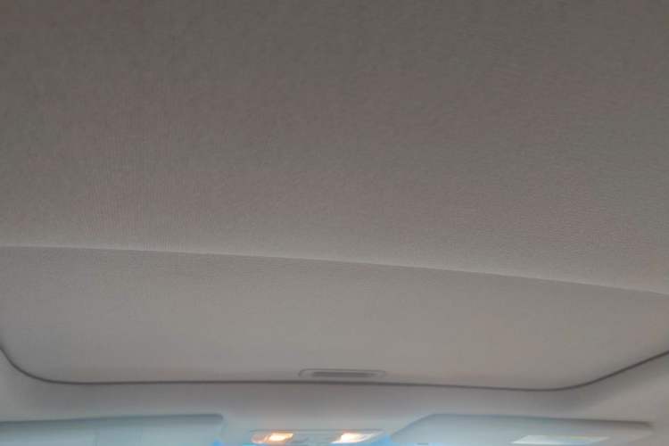 Used Honda Odyssey 2014 2.4L Luxury Edition Headliner