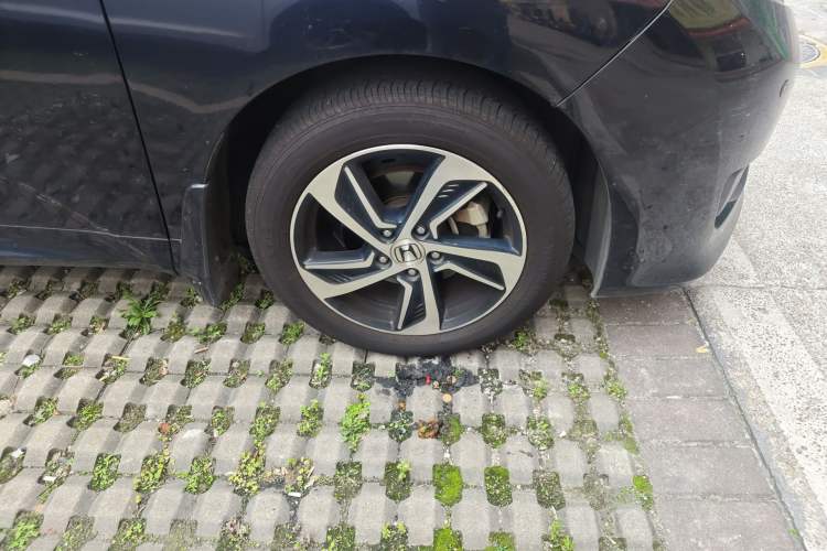 Used Honda Odyssey 2015 Updated Version 2.4L Smart Edition Right Front Wheel Hub