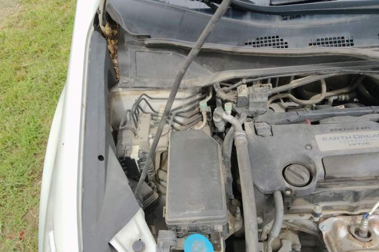 Used Honda Odyssey 2015 2.4L Supreme Edition Engine Bay Right