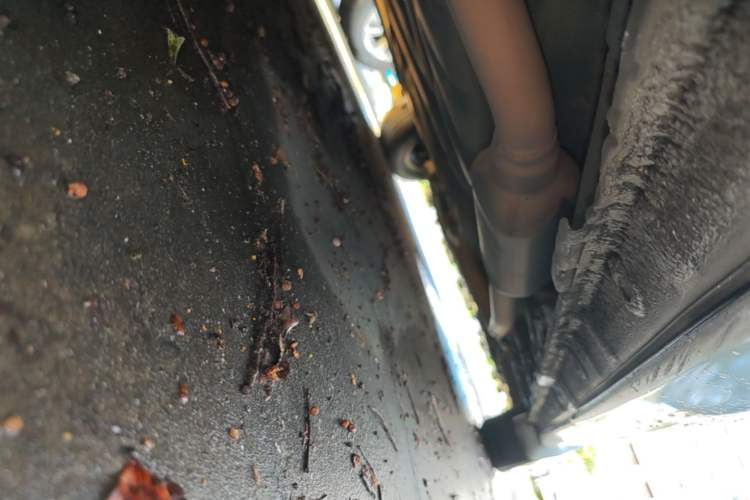 Used Honda Odyssey 2015 2.4L Comfort Edition Right Side Sill
