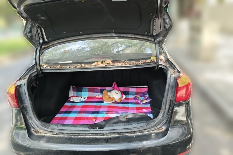 Used Honda Odyssey 2018 2.4L Smart Edition Trunk