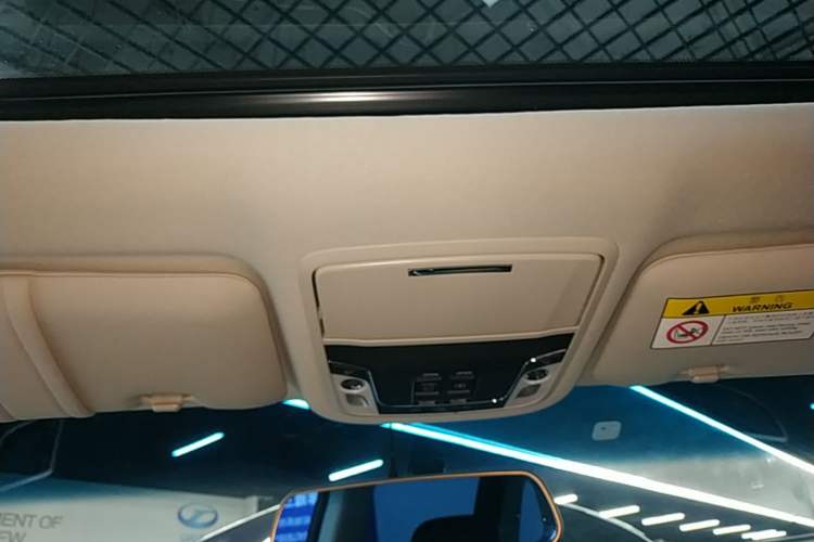 Used Honda Odyssey 2018 2.4L Smart Edition Headliner
