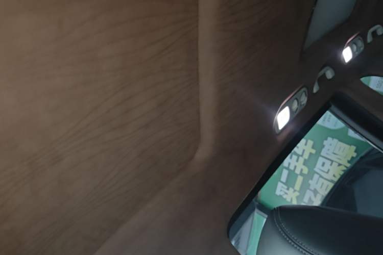 Used Honda Odyssey 2018 2.4L Smart Edition Headliner