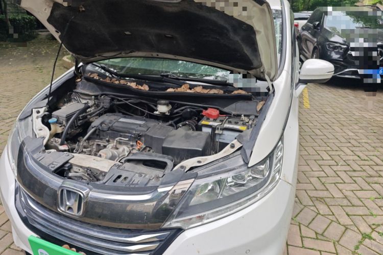 Used Honda Odyssey 2018 2.4L Smart Edition Engine Bay Left
