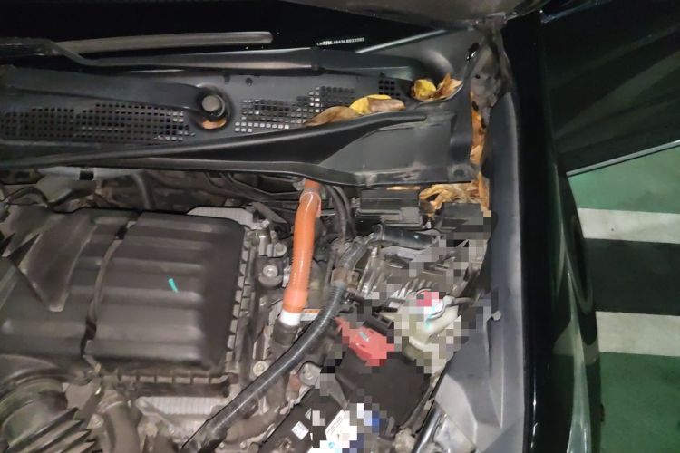 Used Honda Odyssey 2019 2.0L Rui-Zunxiang Edition Engine Bay Left