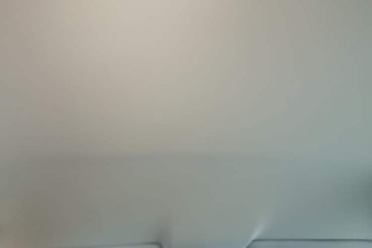 Used Honda Odyssey 2019 2.0L Rui-Changxiang Edition Headliner
