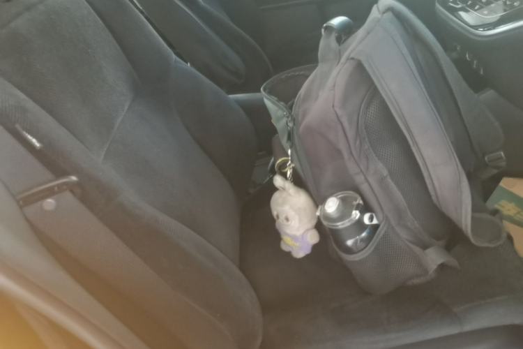 Used Honda Odyssey 2019 2.0L Rui-Changxiang Edition Right Front Seat