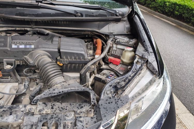 Used Honda Odyssey 2019 2.0L Rui·Smart Edition Engine Bay Left