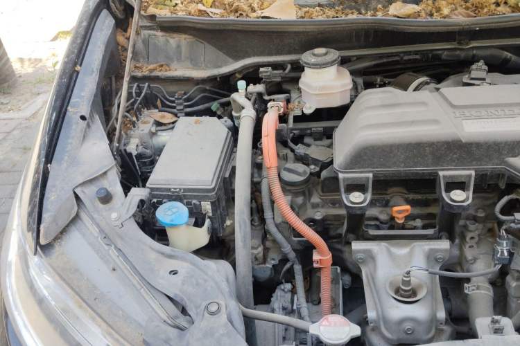 Used Honda Odyssey 2019 2.0L Rui·Smart Edition Engine Bay Right