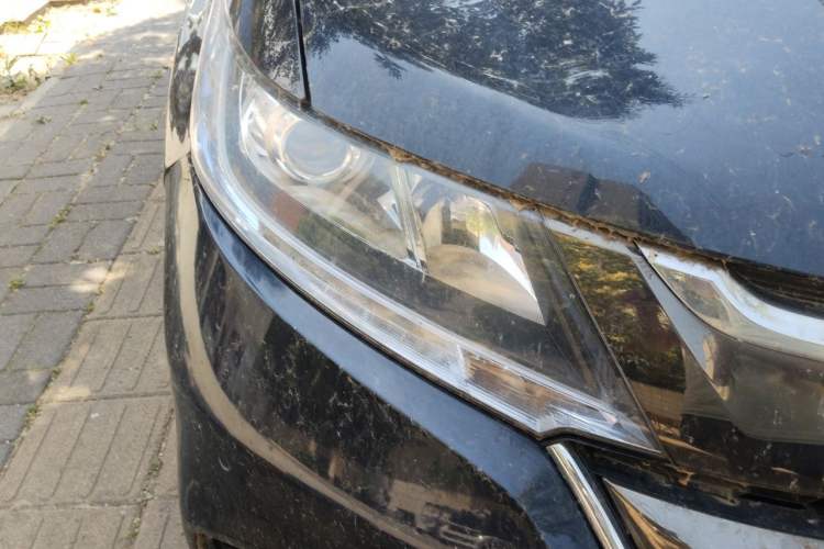 Used Honda Odyssey 2019 2.0L Rui·Smart Edition Right Front Headlight
