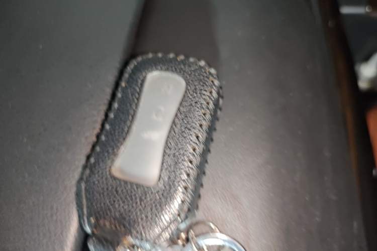 Used Honda Odyssey 2019 2.0L Rui-Changxiang Edition Vehicle Key