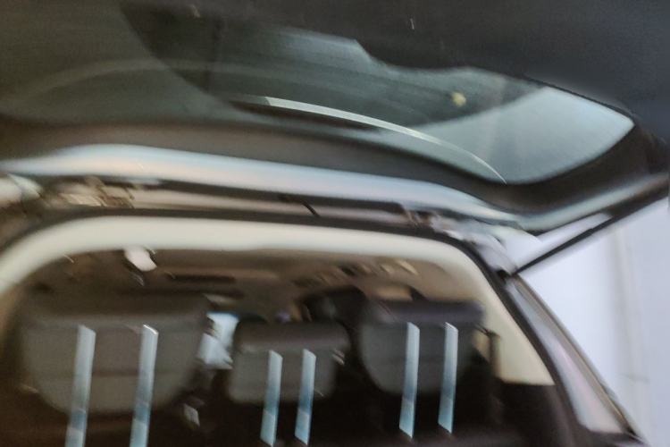 Used Honda Odyssey 2019 2.0L Rui-Zunxiang Edition Trunk