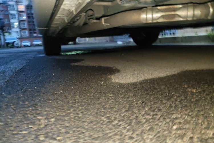 Used Honda Odyssey 2019 2.0L Rui-Zunxiang Edition Chassis Front Right