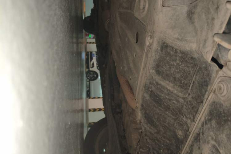 Used Honda Odyssey 2019 2.0L Rui-Zunxiang Edition Chassis Front