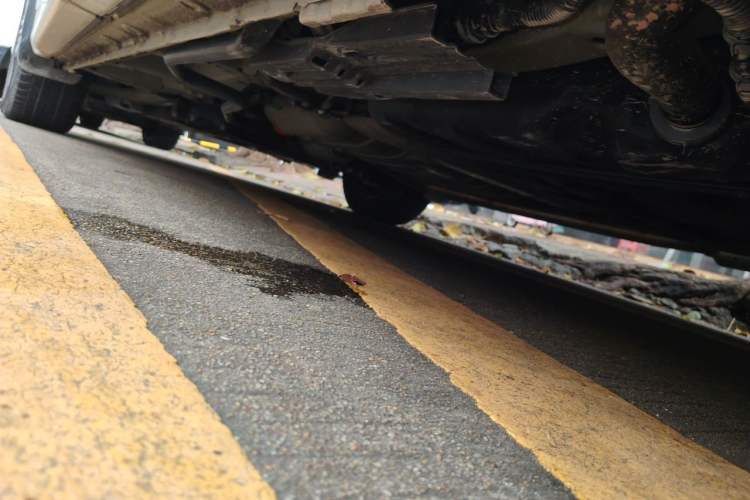 Used Honda Odyssey 2019 2.0L Rui-Zunxiang Edition Chassis Rear Left