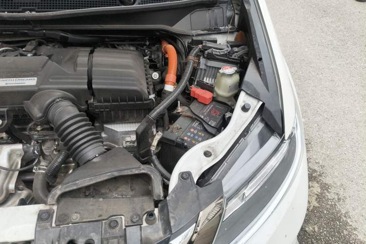 Used Honda Odyssey 2019 2.0L Rui·Zhi Zhen Welfare Edition Engine Bay Left