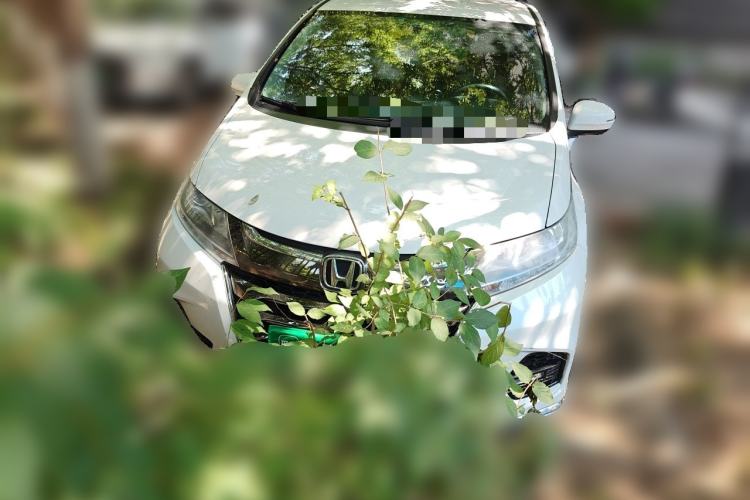 Used Honda Odyssey 2019 2.0L Rui·Comfort Edition Front