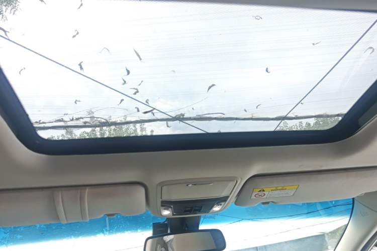 Used Honda Odyssey 2019 2.0L Rui·Zhi Zhen Edition Headliner