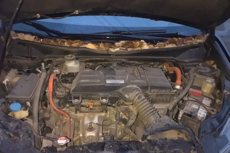 Used Honda Odyssey 2021 2.0L Rui·Comfort Edition Engine Bay
