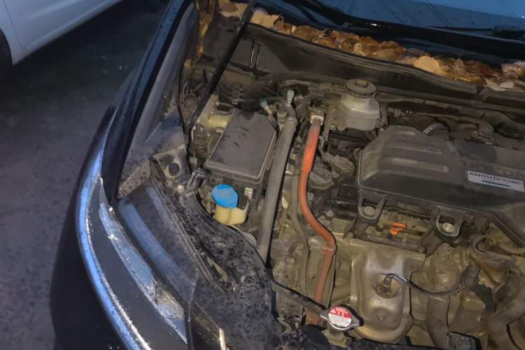 Used Honda Odyssey 2021 2.0L Rui·Comfort Edition Engine Bay Right