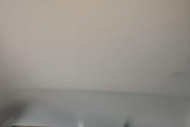 Used Honda Odyssey 2021 2.0L Rui-Changxiang Edition Headliner