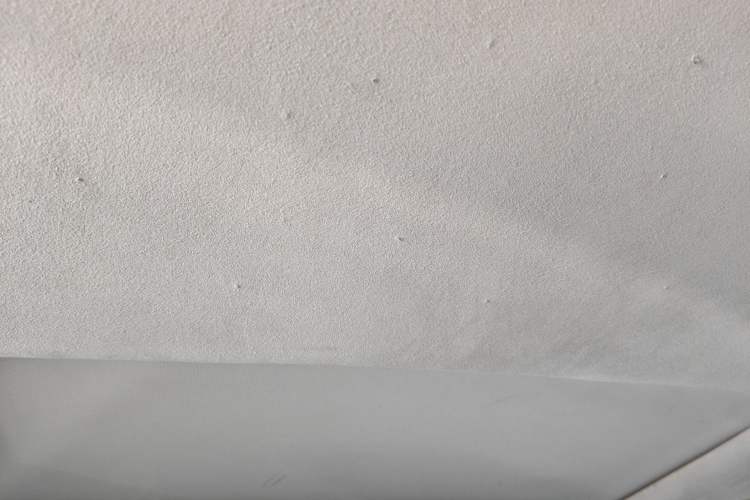 Used Honda Odyssey 2021 2.0L Rui·Smart Edition Headliner