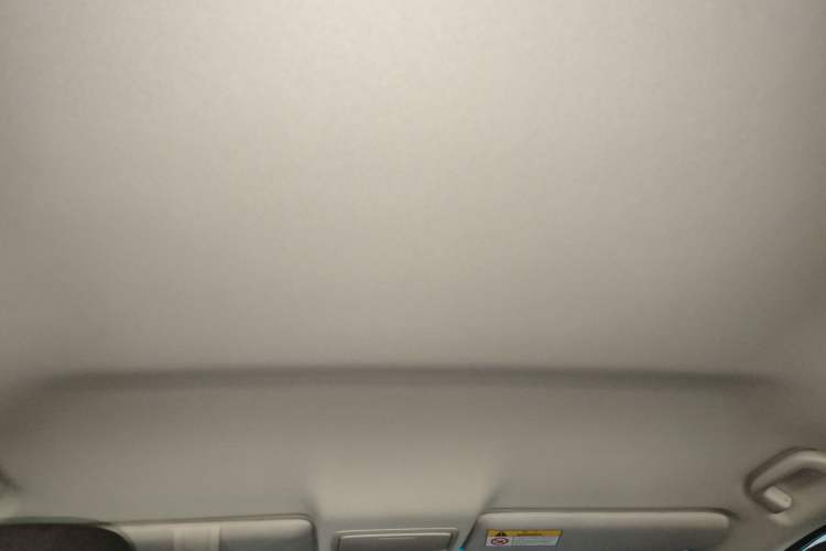 Used Honda Odyssey 2021 2.0L Rui-Changxiang Edition Headliner