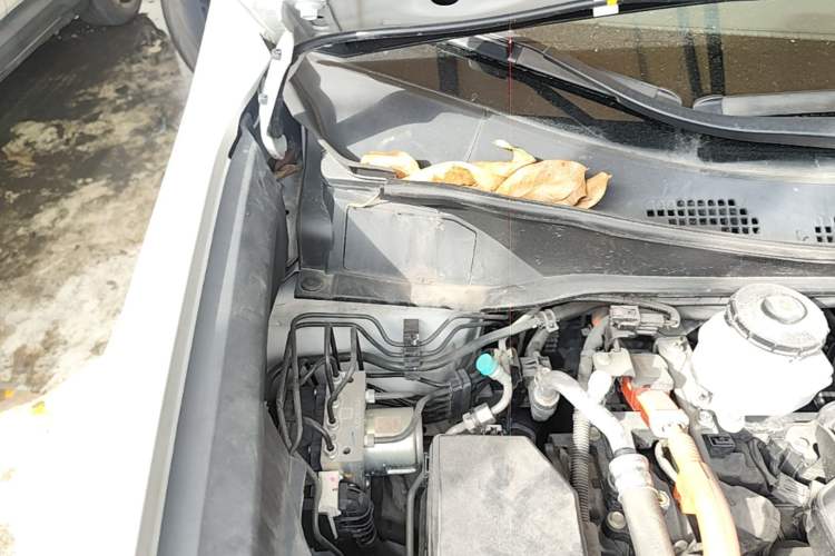 Used Honda Odyssey 2022 2.0L eHEV Sharp Enjoyment Edition Engine Bay Right