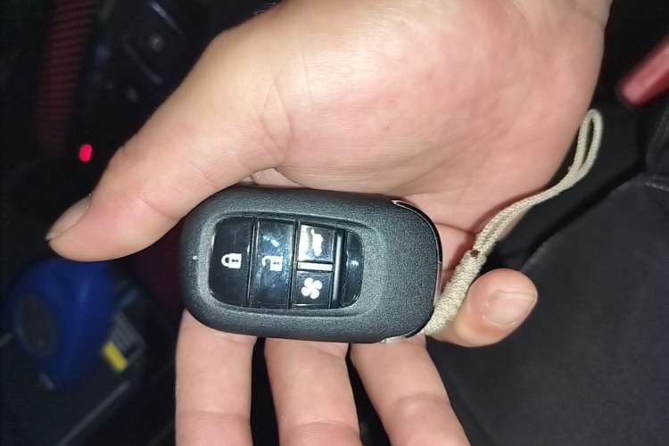 Used Honda P7 2025 Rear-Drive Long-Range Pro Interior 1