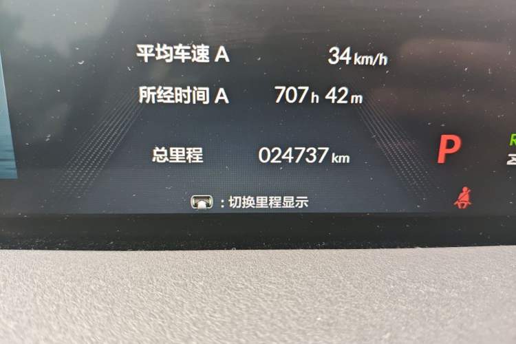 Used Honda P7 2025 Rear-Drive Long-Range Pro Odometer Close Up