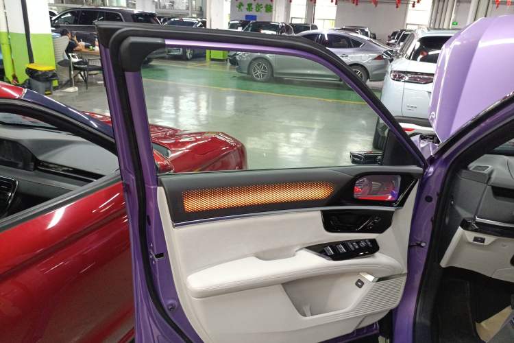 Used Honda P7 2025 Four-Wheel Drive Long-Range Max Left Front Door Interior