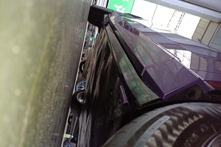 Used Honda P7 2025 Four-Wheel Drive Long-Range Max Right Side Sill