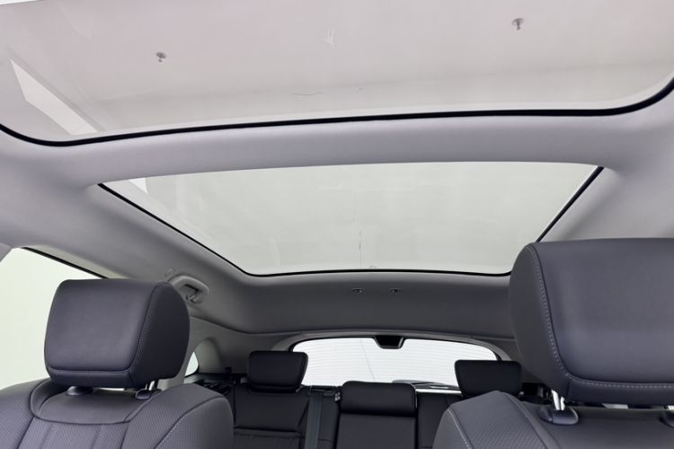 Used Honda P7 2025 Rear-Drive Long-Range Pro Headliner