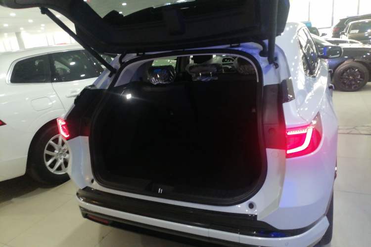 Used Honda P7 2025 Rear-Drive Long-Range Pro Trunk