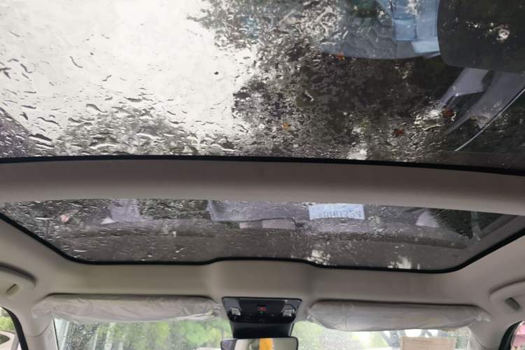 Used Honda S7 2025 Trailblazer Edition Headliner