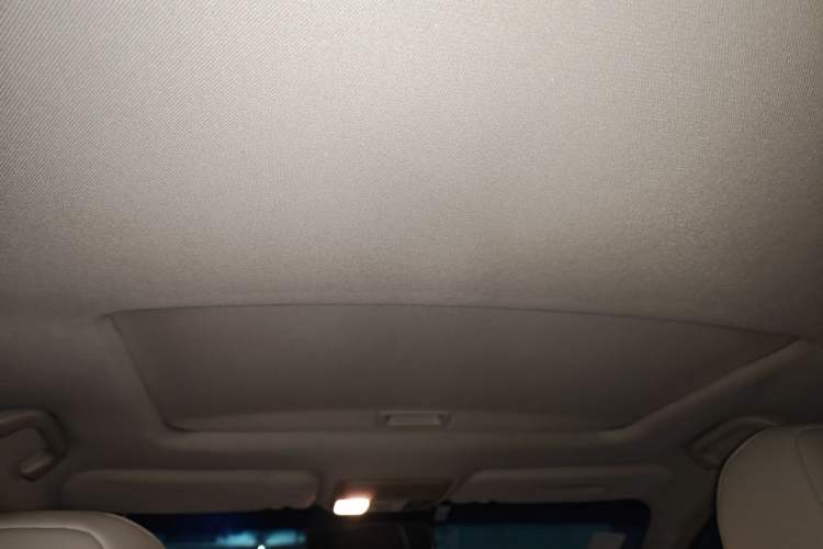 Used Honda Spirior 2009 2.4L Luxury Edition Headliner