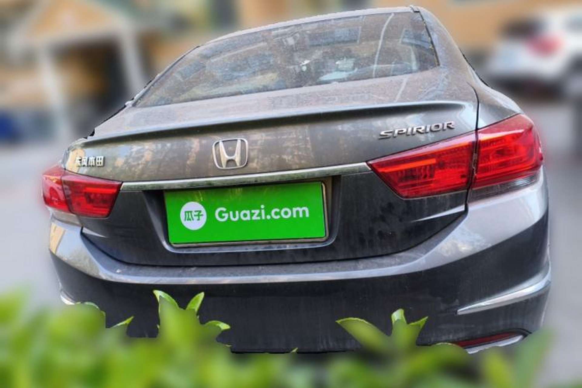 Used Honda Spirior 2015 2.0L Collector's Edition Rear