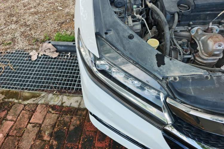 Used Honda Spirior 2015 2.4L Si Right Front Headlight