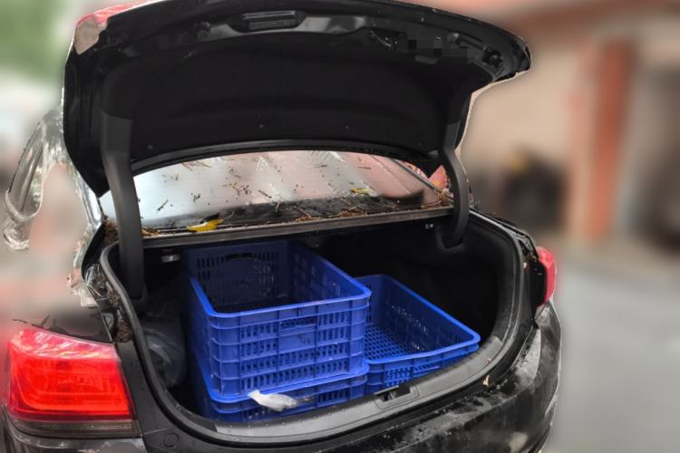 Used Honda Spirior 2017 2.0L Comfort Edition Trunk