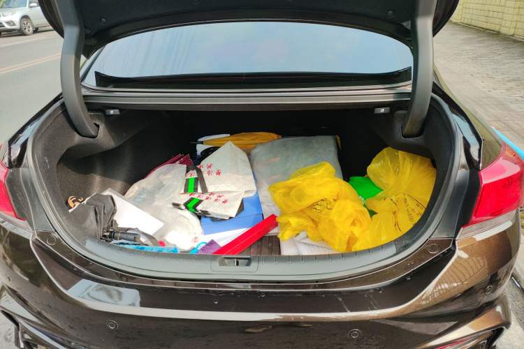 Used Honda Spirior 2017 2.4L Luxury Edition Trunk