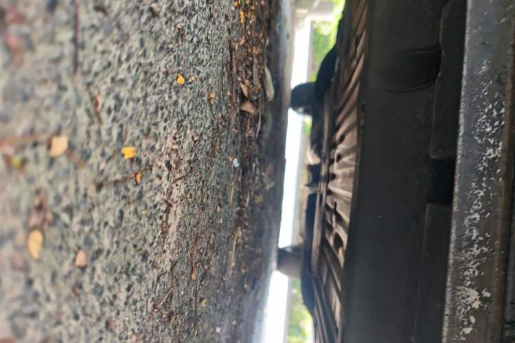 Used Honda UR-V  Chassis Front