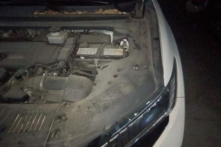 Used Honda UR-V 2020 370TURBO Four-Wheel Drive Prestige Edition Engine Bay Left