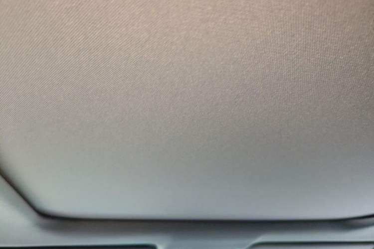 Used Honda UR-V 2020 370TURBO Two-Wheel Drive Luxury Edition Headliner