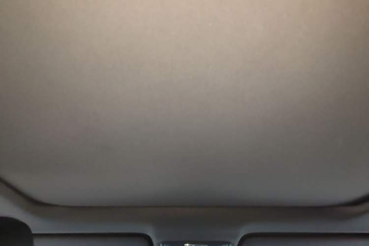 Used Honda UR-V 2020 370TURBO Two-Wheel Drive Luxury Edition Headliner